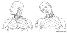 neck motion front