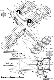 supermarine walrus 02