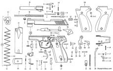 walther p88 ex